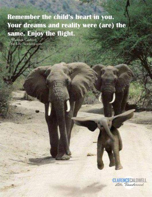 flying-elephant